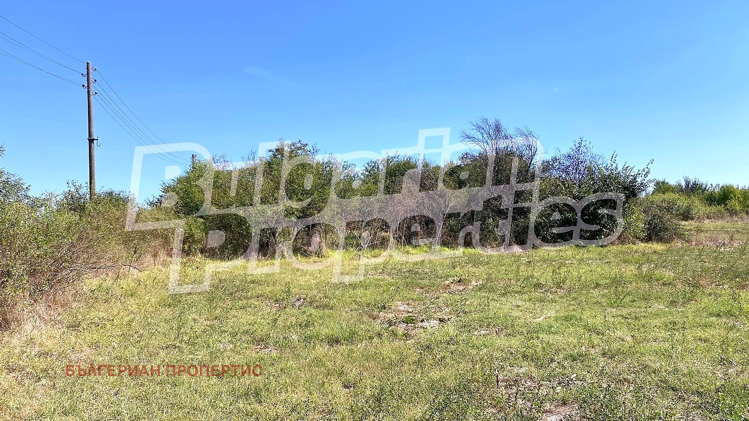 Продава ПАРЦЕЛ, с. Бяло поле, област Стара Загора, снимка 2 - Парцели - 55728039