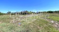 Продава ПАРЦЕЛ, с. Бяло поле, област Стара Загора, снимка 9