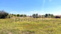 Продава ПАРЦЕЛ, с. Бяло поле, област Стара Загора, снимка 3