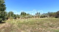 Продава ПАРЦЕЛ, с. Бяло поле, област Стара Загора, снимка 4