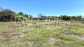 Продава ПАРЦЕЛ, с. Бяло поле, област Стара Загора, снимка 6