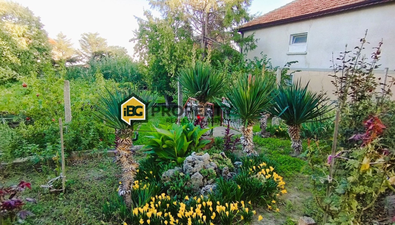 ������� ���� | Imot.bg � ����������� 12