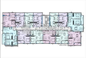 ����� ������� 3-�����,��. ����� ����, ������ ������