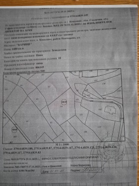 ����� ������� ������,���� �����, �. ��������