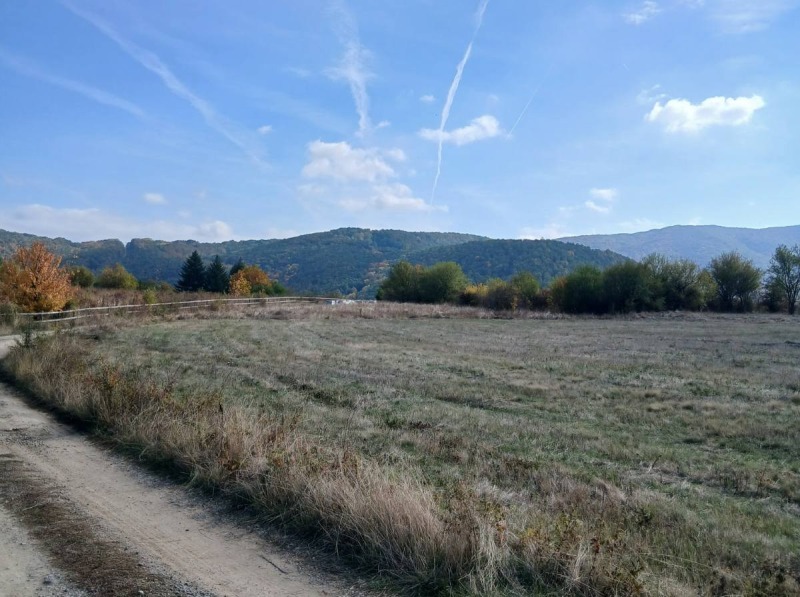 In vendita  Complotto Sofia , Kokaliane , 2300 mq | 23777015 - Immagine [3]
