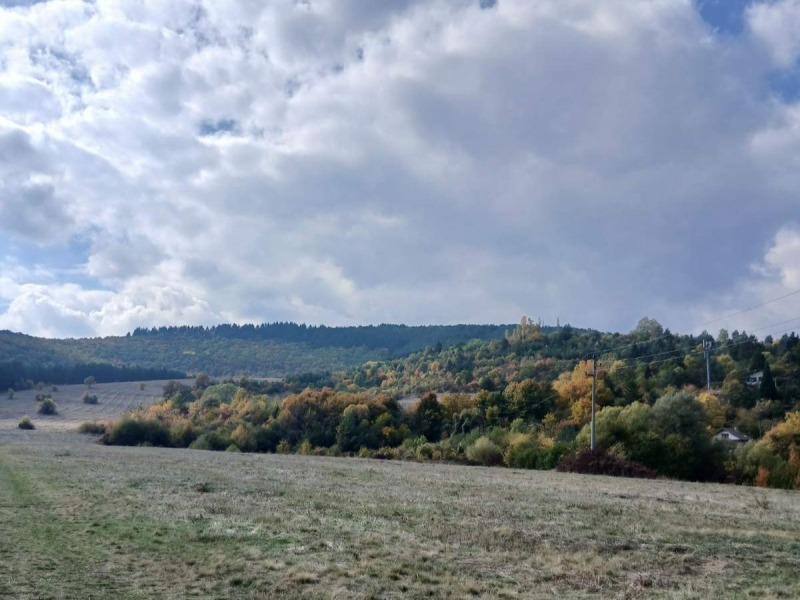 In vendita  Complotto Sofia , Kokaliane , 2300 mq | 23777015