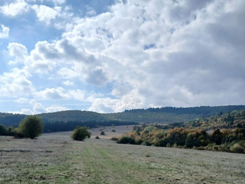 In vendita  Complotto Sofia , Kokaliane , 2300 mq | 23777015 - Immagine [2]