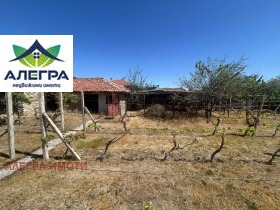 ����� ������� ������,�. ����������, ������ ���������