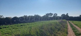 ������� ������ | Imot.bg � ����� ������ 3