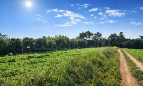 ������� ������ | Imot.bg � ����� ������ 8
