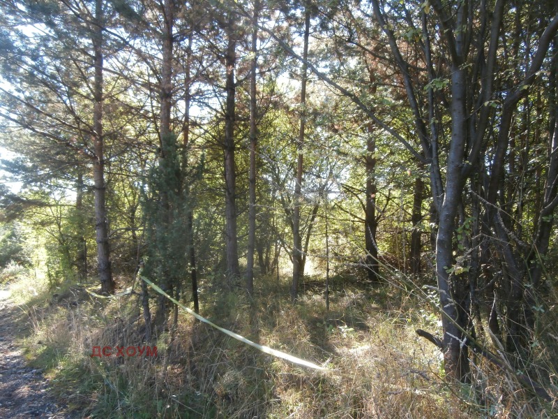 Na prodej  Spiknutí Sofia , Bistrica , 2700 m2 | 56600397 - obraz [3]