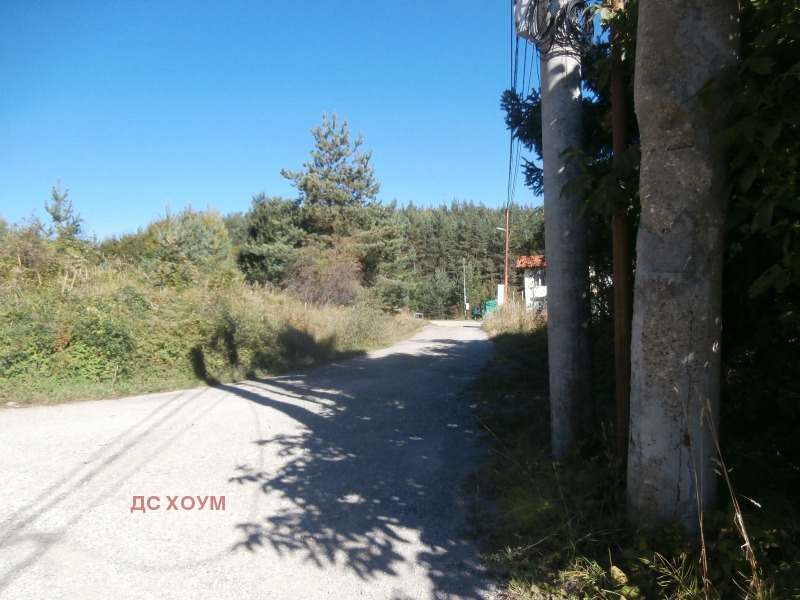 Na prodej  Spiknutí Sofia , Bistrica , 2700 m2 | 56600397