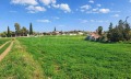 Продава ПАРЦЕЛ, Извън страната, област Извън страната, снимка 7