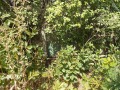 Продава ПАРЦЕЛ, с. Дропла, област Добрич, снимка 5