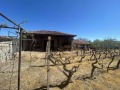 Продава ПАРЦЕЛ, област Пазарджик, с. Виноградец • 36000 € / 70409.88 лв. • 85316862 2