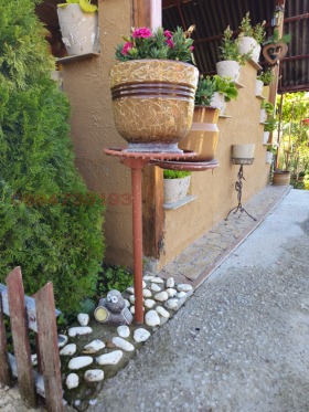 ������� ���� | Imot.bg � ����� ������ 10