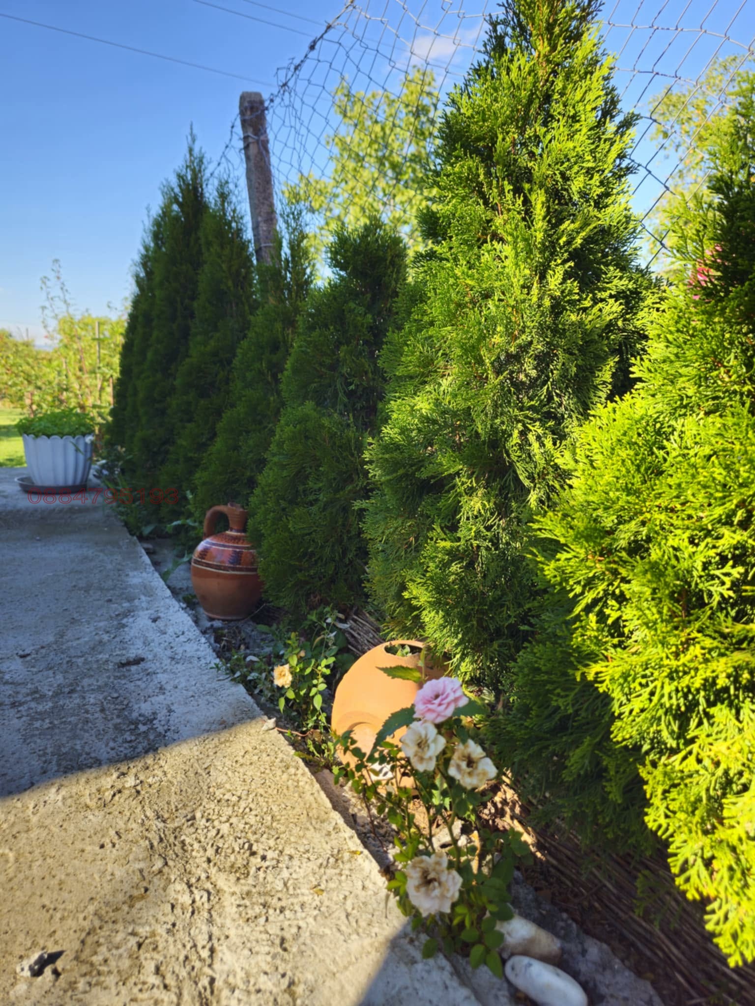 Продава КЪЩА, гр. Търговище, Вилна зона, снимка 13 - Къщи - 54580044