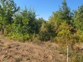 Продава ПАРЦЕЛ, гр. Плевен, м-т Мъртва долина, снимка 3