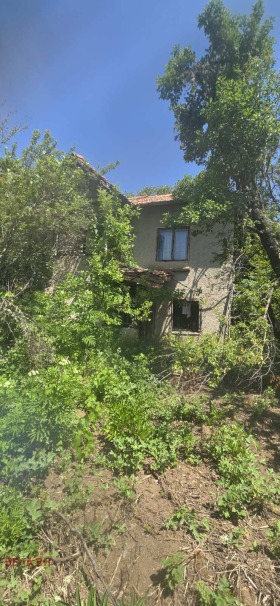 Будинок Драгомирово, область Перник