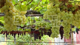 ������� ���� | Imot.bg � ����� ������ 16