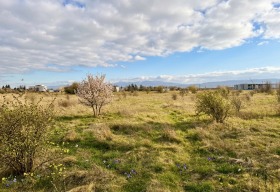 ������ ������� ������