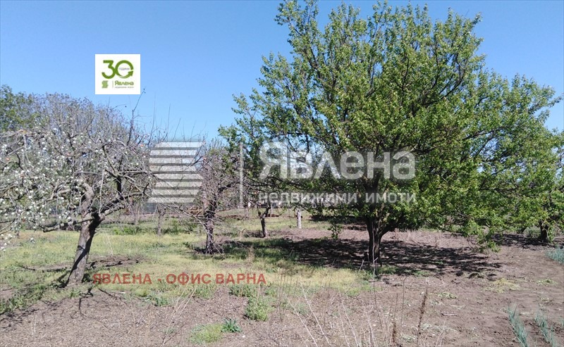 In vendita  Casa regione Dobrič , Belgun , 200 mq | 88212502 - Immagine [7]