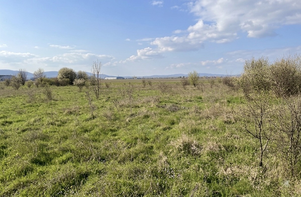 Продава ПАРЦЕЛ, гр. София, с. Волуяк, снимка 2 - Парцели - 54052353