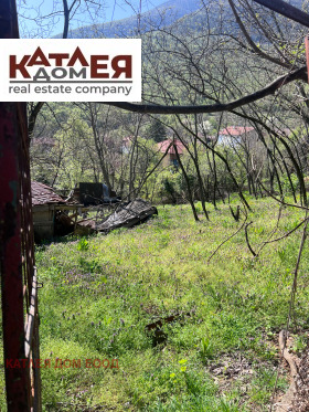 ����� ������� ������,���� �����, �������