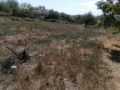 Продава ПАРЦЕЛ, с. Разделна, област Варна, снимка 12