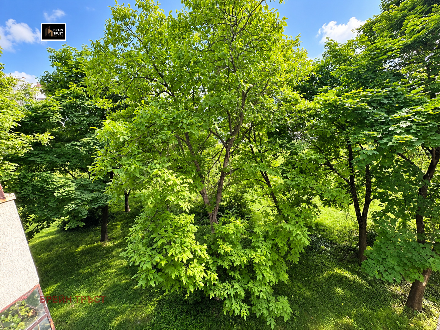 ������� 3-����� | Imot.bg � ����������� 10