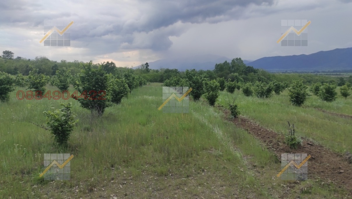 ������� ���������� ���� | Imot.bg � ����������� 2