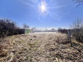 Grund Promishlena zona - Yug, Haskovo 1