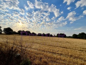 ������� ������ | Imot.bg � ����� ������ 12