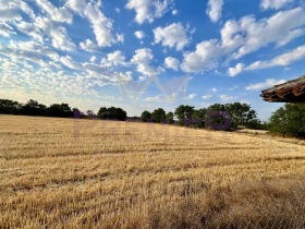 ������� ������ | Imot.bg � ����� ������ 11