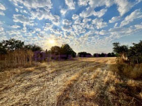 ������� ������ | Imot.bg � ����� ������ 8