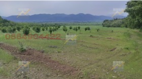 ����� ������� ���������� ����,�. ������ (���������), ������ ����� ������