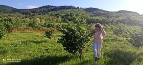 ������� ���������� ���� | Imot.bg � ����� ������ 2