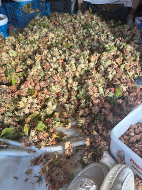 ������� ���������� ���� | Imot.bg � ����� ������ 5