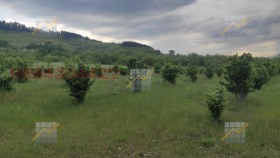 ������� ���������� ���� | Imot.bg � ����� ������ 3