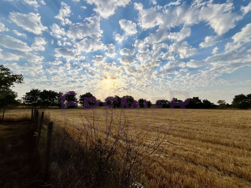 Продава ПАРЦЕЛ, с. Змеево, област Добрич, снимка 10 - Парцели - 52824614