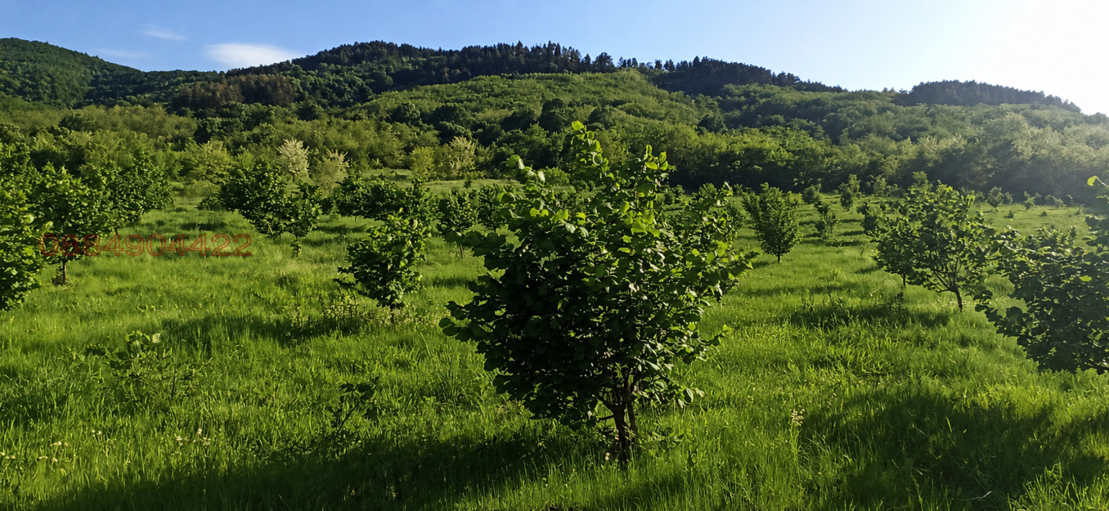 Продава ЗЕМЕДЕЛСКА ЗЕМЯ, с. Елхово (Николаево), област Стара Загора