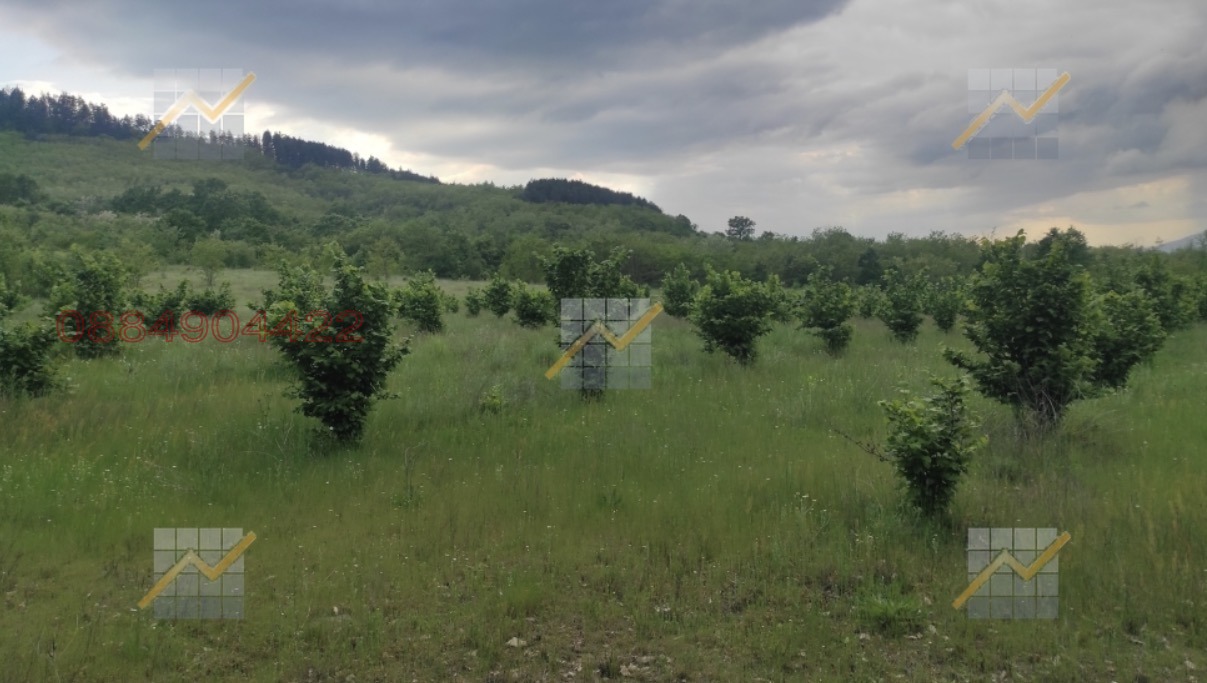 Продава ЗЕМЕДЕЛСКА ЗЕМЯ, с. Елхово (Николаево), област Стара Загора, снимка 3 - Земеделска земя - 53867005