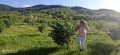 Продава ЗЕМЕДЕЛСКА ЗЕМЯ, с. Елхово (Николаево), област Стара Загора, снимка 2