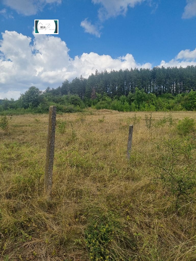 For Sale  Plot region Pernik , Leskovets , 550 sq.m | 31576187 - image [2]
