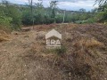 Продава ПАРЦЕЛ, гр. Варна, м-т Горна Трака, снимка 2