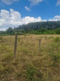 Продава ПАРЦЕЛ, област Перник, с. Лесковец • 23000 € / 44984.09 лв. • 28009939 2