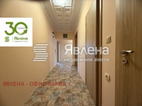 ����� ������� 3-�����,���� �����, �������� �������