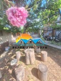 Продава КЪЩА, област Варна, гр. Долни чифлик • 129990 € / 254238.34 лв. • 25095564 1