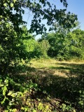 Продава ПАРЦЕЛ, град София, с. Мало Бучино • 200000 € • 47251481 — Holmes.bg