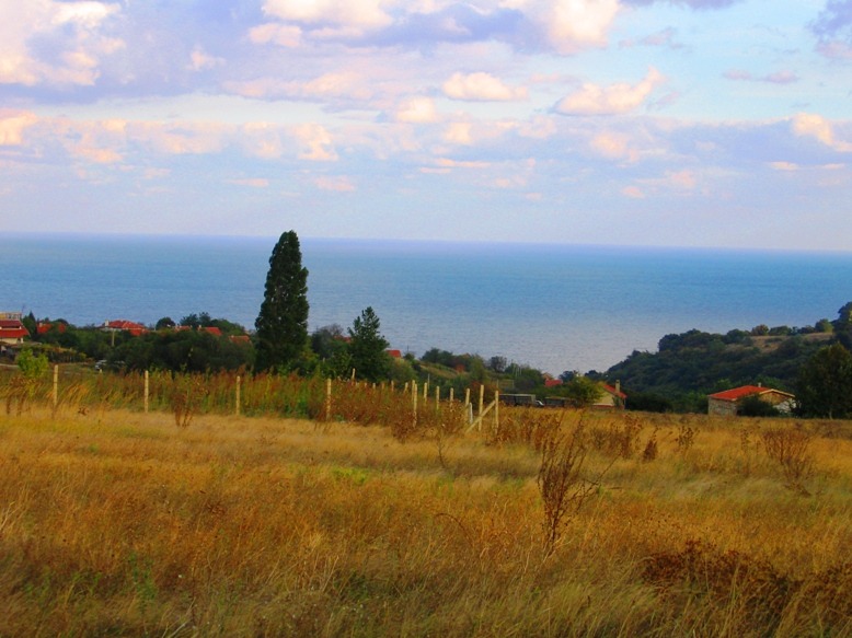 ������� ������ | Imot.bg � ����������� 1